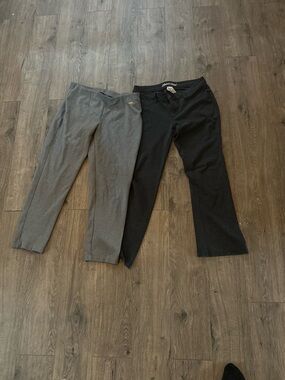 Gray dress pant bundle